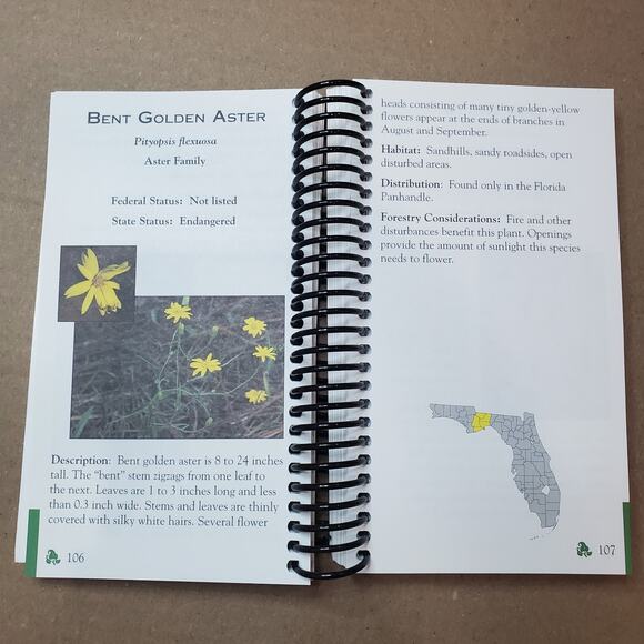 Rare, Threatened And Endangered Species In Forests Of Florida. Guide To Assist - Picture 7 of 12